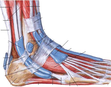 Patologie del piede